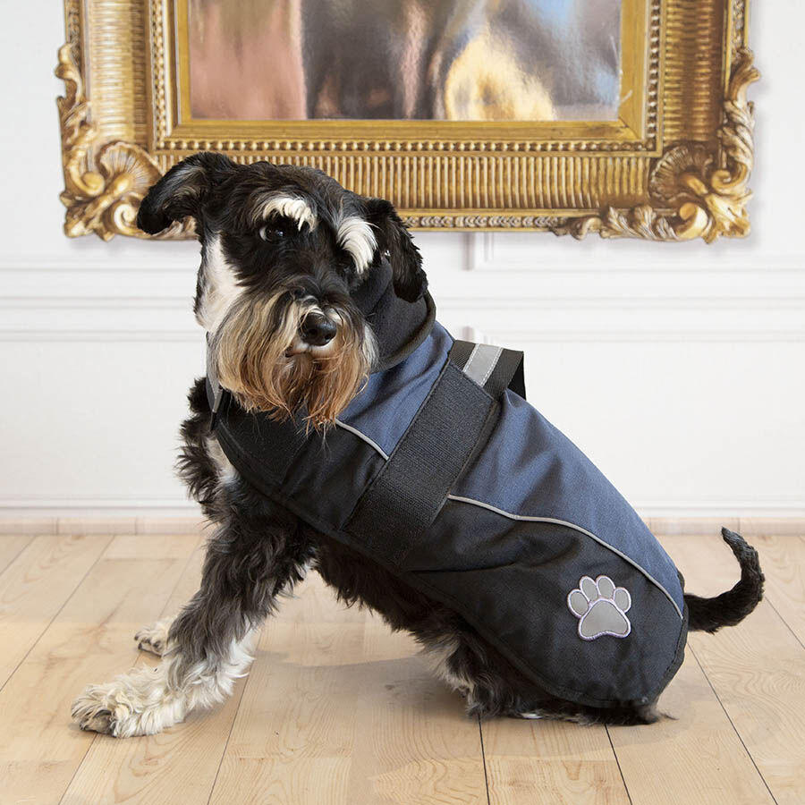 Outech Sport Abrigo Negro con Azul para perros, , large indicador imagen numero 2